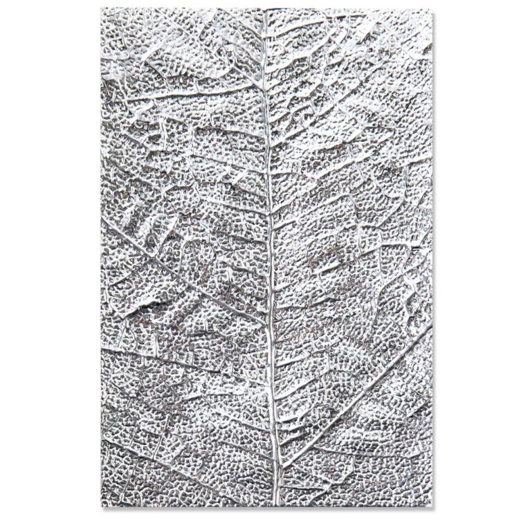 664488 SIZZIX RELIEF FOLDERS 3D - LEAF VEINS - Image 1