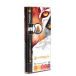 CHAMELEON MARKERS SET - 5 COLORS WARM TONES CT0511