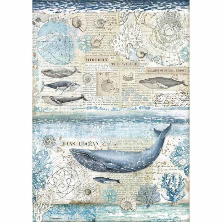 DFSA3077 STAMPERIA DECOUPAGE RICE PAPER A3 - DFSA3077 - Image 1