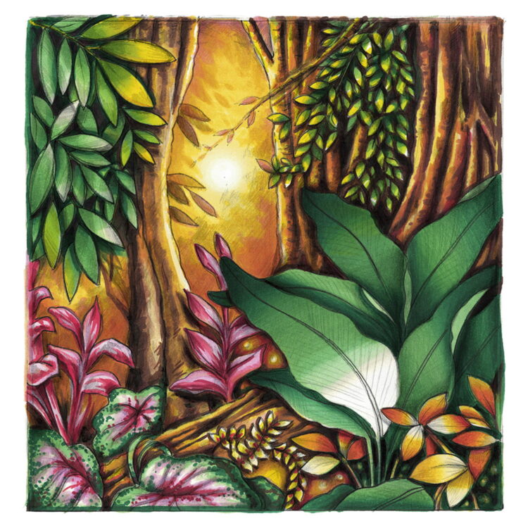 CHAMELEON MARKERS KIT - BLENDING SYSTEM 7 CS6607 - Image 6