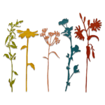 SIZZIX THINLITS CUT DIES - WILDFLOWER STEMS #3