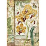 STAMPERIA DECOUPAGE RICE PAPER A4 - DFSA4532