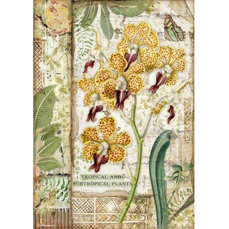 DFSA4532 STAMPERIA DECOUPAGE RICE PAPER A4 - DFSA4532 - Image 1
