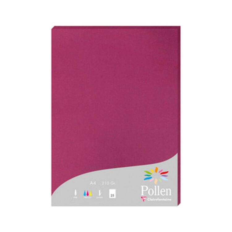 3 CLAIREFONTAINE PAPER A4 210 G -RASPBERRY - Image 1