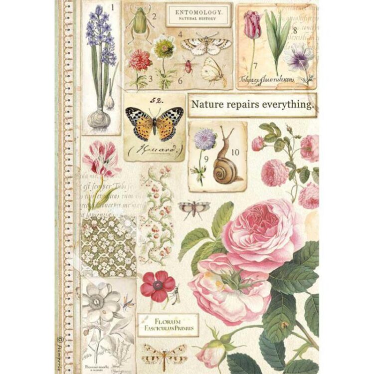 STAMPERIA DECOUPAGE RICE PAPER A4 - DFSA4623 - Image 1
