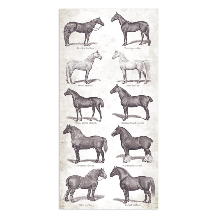 STAMPERIA ROMANTIC HORSES COLLECTABLES SBBV06 - Image 7