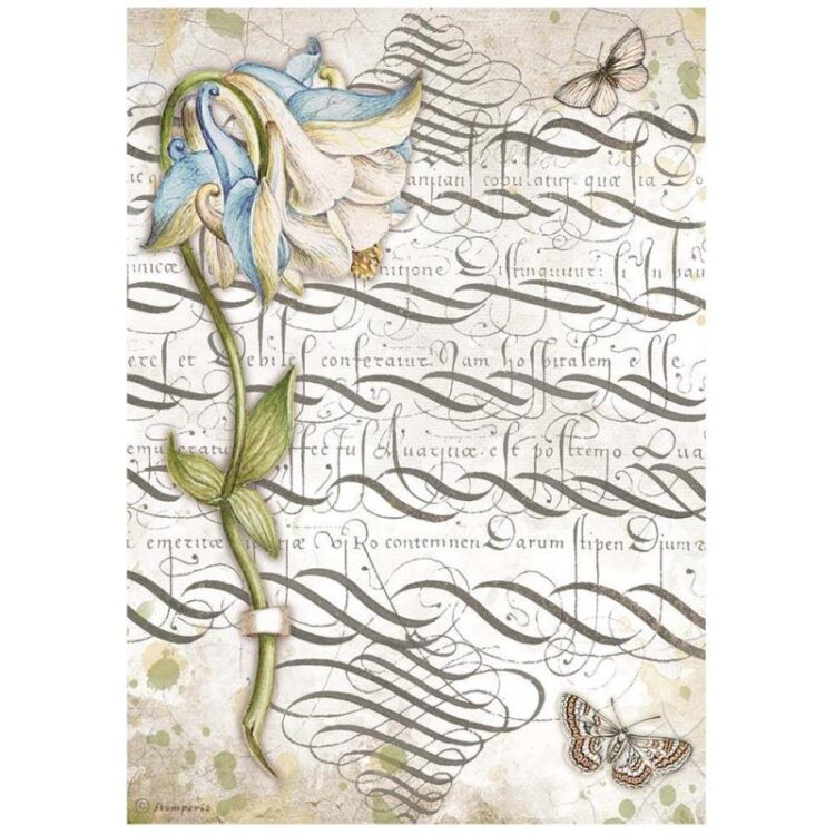 STAMPERIA DECOUPAGE RICE PAPER A4 - DFSA4668 - Image 1