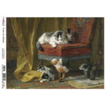 CADENCE DECOUPAGE RICE PAPER A3 - DK-003-30