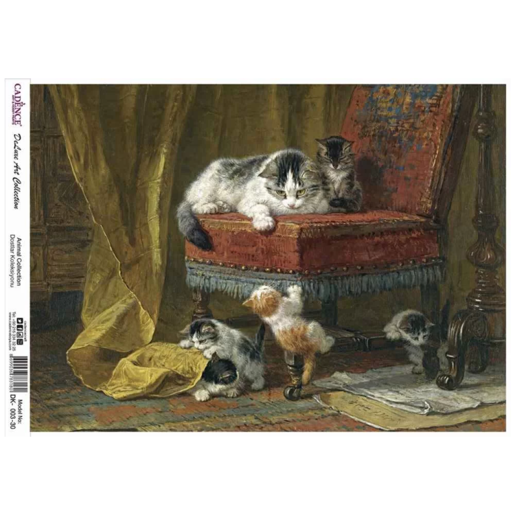 cadence-deluxe-art-pirinc-dk-003 CADENCE DECOUPAGE RICE PAPER A3 - DK-003-30 - Image 1