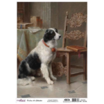 CADENCE DECOUPAGE RICE PAPER A3 - DK-005-30