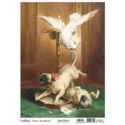 CADENCE DECOUPAGE RICE PAPER A3 - DK-008-30