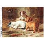 CADENCE DECOUPAGE RICE PAPER A3 - DK-009-30