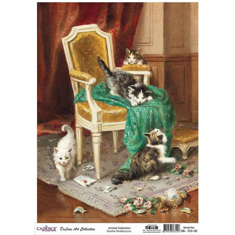 dk010 CADENCE DECOUPAGE RICE PAPER A3 - DK-010-30 - Image 1