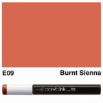 COPIC INK 12 ML - E-09