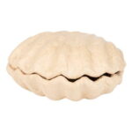 DECOPATCH PAPIER-MÂCHÉ CLAM BOX - BT078C