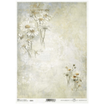 ITD COLLECTION DECOUPAGE RICE PAPER A4 - R2056