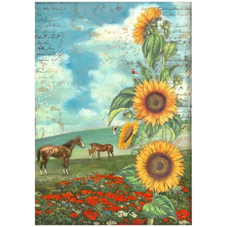 full_DFSA4767_1 STAMPERIA SUNFLOWER DECOUPAGE RICE PAPER A4 - DFSA4767 - Image 1