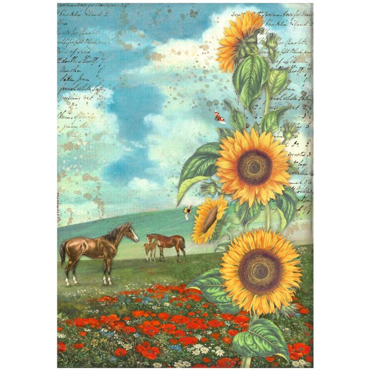 STAMPERIA SUNFLOWER ART DECOUPAGE PAPER 6PCS. A4 DFSA4XSF - Image 2