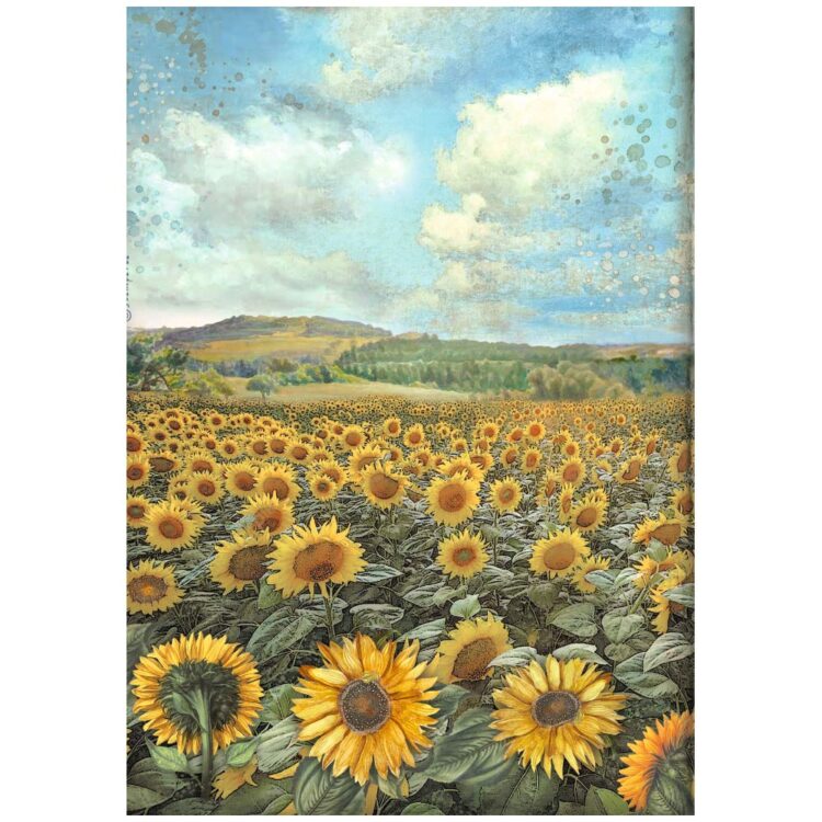 STAMPERIA SUNFLOWER ART DECOUPAGE PAPER 6PCS. A4 DFSA4XSF - Image 5