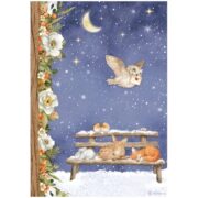STAMPERIA WINTER DECOUPAGE RICE PAPER A4 - DFSA4800