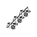 CADENCE UNIVERSAL TEMPLATE 6/20CM. - K-90