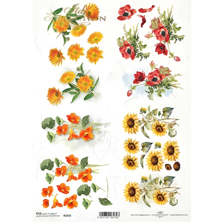 R2250 ITD COLLECTION DECOUPAGE RICE PAPER A4 - R2250 - Image 1