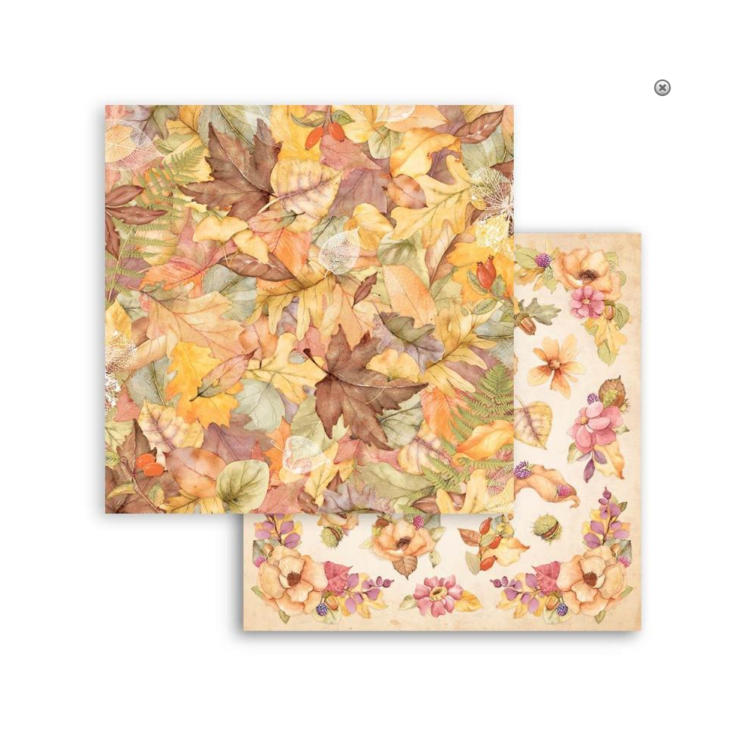 STAMPERIA WOODLAND DESIGNER CARDBOARD 30.5/30.5 CM - SBB960 - Image 1