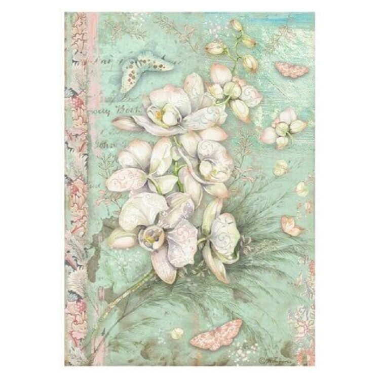484801 STAMPERIA ORCHIDS AND CATS DECOUPAGE PAPER A4 - DFSA4848 - Image 1