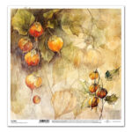 ITD COLLECTION DESIGNER CARDBOARD 31/32 - SL1461