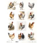 ITD COLLECTION DECOUPAGE RICE PAPER A3 - R1185L