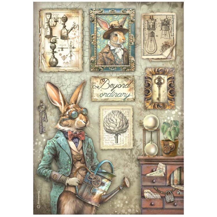 STAMPERIA ALTEREGO PAPER SELECTION 6PCS. A4 DFSA4XAE - Image 5