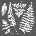 STAMPERIA MEDIA STENCIL - TEMPLATE 18 X 18 CM - KSTDQ28