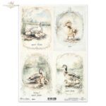 ITD COLLECTION DECOUPAGE RICE PAPER A4 - R2564