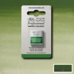 W&N WATERCOLOR PAINT PROFESSIONAL H/PAN - CHROMIUM OXIDE