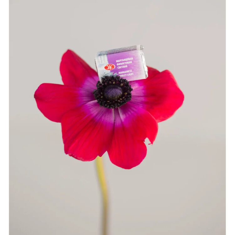LENINGRAD WATERCOLOR PAINT 2.5 ML. - MANGANESE VIOLET LIGHT - Image 2