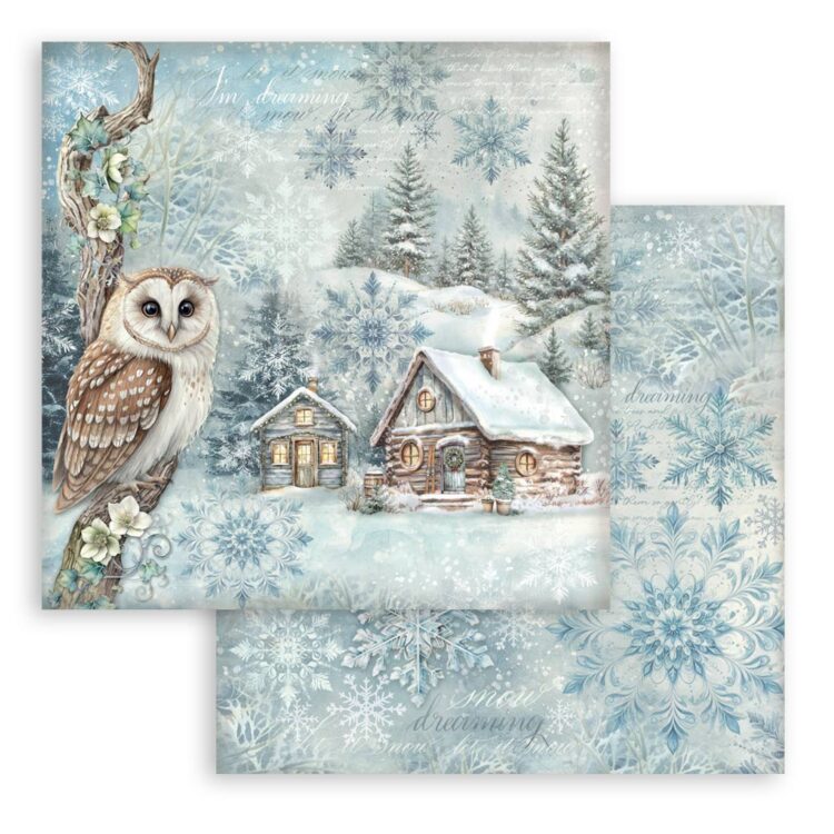 STAMPERIA THE OWL'S HOUSE CARDBOARD 30.5/30.5CM - SBB1086 - Image 1