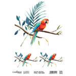 CADENCE TRANSFER DECORATION FOR TEXTILES 25X35CM - BRFT-01
