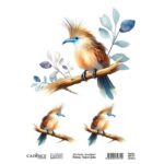 CADENCE TRANSFER DECORATION FOR TEXTILES 25X35CM - BRFT-07