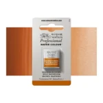 W&N WATERCOLOR PAINT PROFESSIONAL H/PAN - MAGNESIUM BROWN