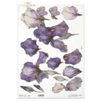 ITD COLLECTION DECOUPAGE RICE PAPER A3 - R1543L
