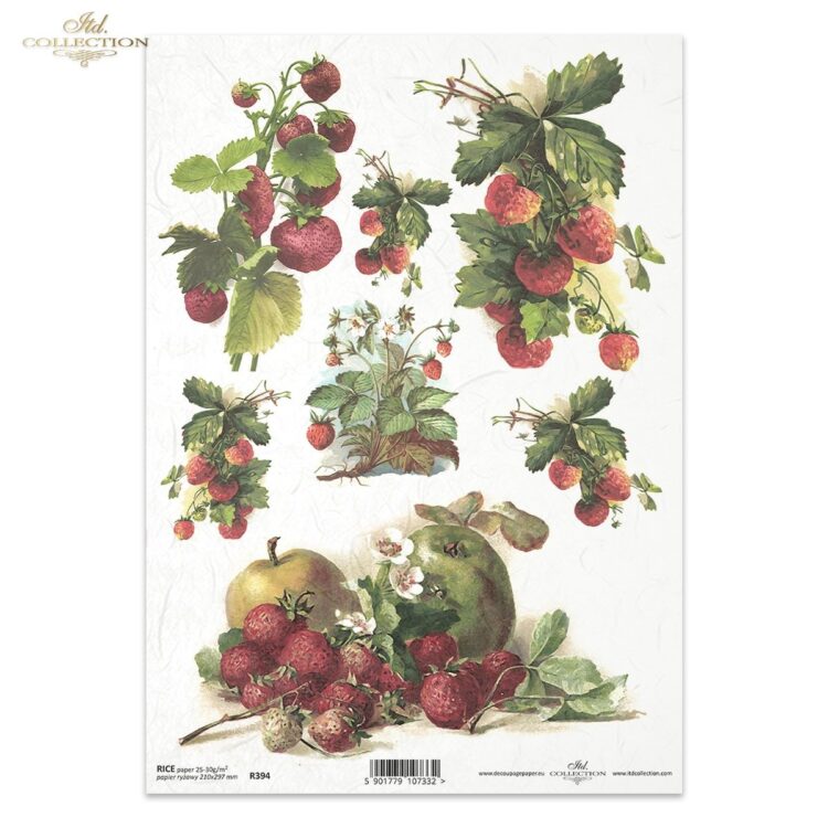 ITD COLLECTION DECOUPAGE RICE PAPER A4 - R0394 - Image 1