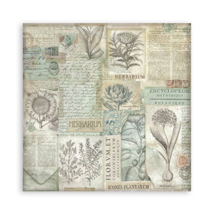 STAMPERIA HERBARIUM PAPER BAR 20.3/20.3 CM - SBBS136 - Image 19