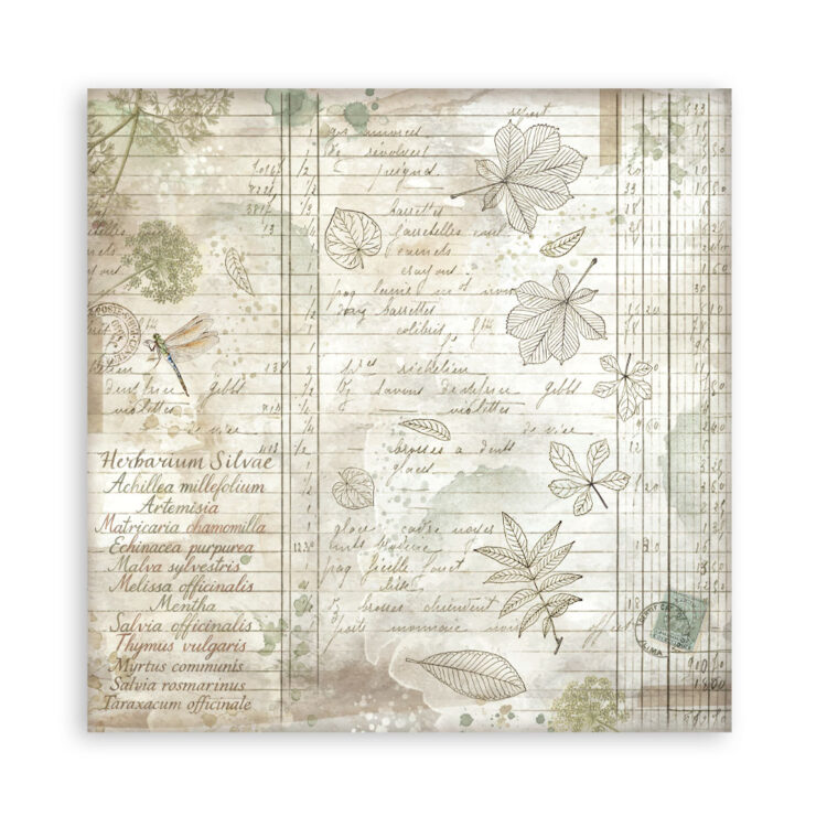 STAMPERIA HERBARIUM PAPER BAR 20.3/20.3 CM - SBBS136 - Image 18