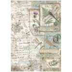 STAMPERIA HERBARIUM DECOUPAGE RICE PAPER A4 - DFSA41078