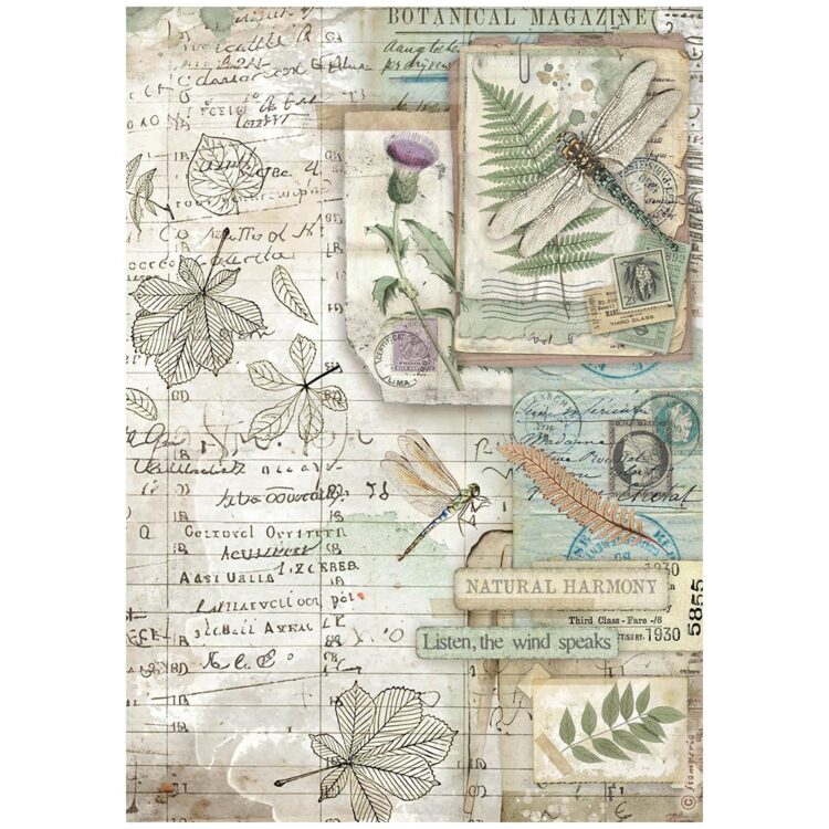 full_DFSA41078_1 STAMPERIA HERBARIUM DECOUPAGE RICE PAPER A4 - DFSA41078 - Image 1