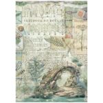 STAMPERIA HERBARIUM DECOUPAGE RICE PAPER A4 - DFSA41079