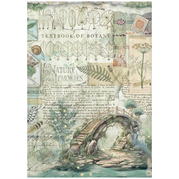 full_DFSA41079_1 STAMPERIA HERBARIUM DECOUPAGE RICE PAPER A4 - DFSA41079 - Image 1